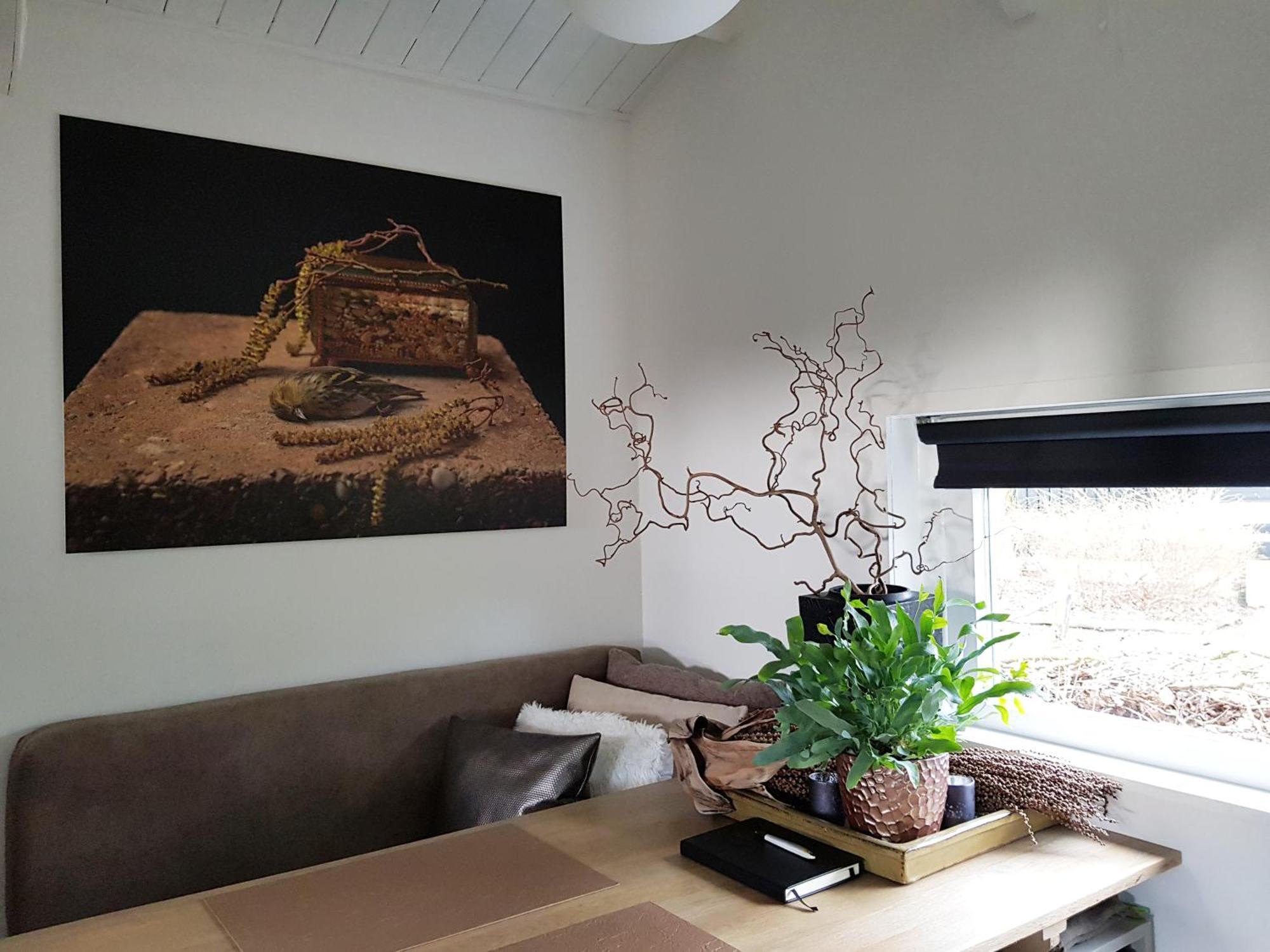 Natuurhuisje 'T Poepekrus Kootstertille Exteriér fotografie